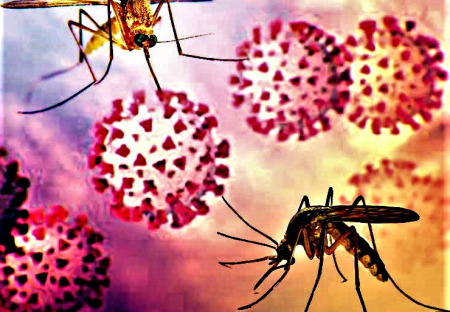 Bill Gates financia la investigación de mosquitos como 'vacunadores voladores', con o sin tu consentimiento