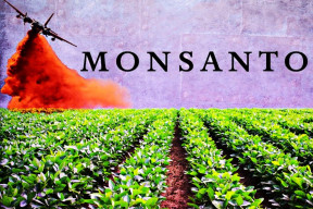monsanto-nombrada-la-empresa-mas-malvada-de-la-tierra