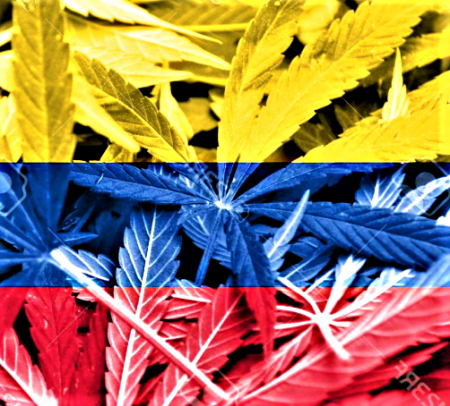 Colombia propone legalizar el cannabis